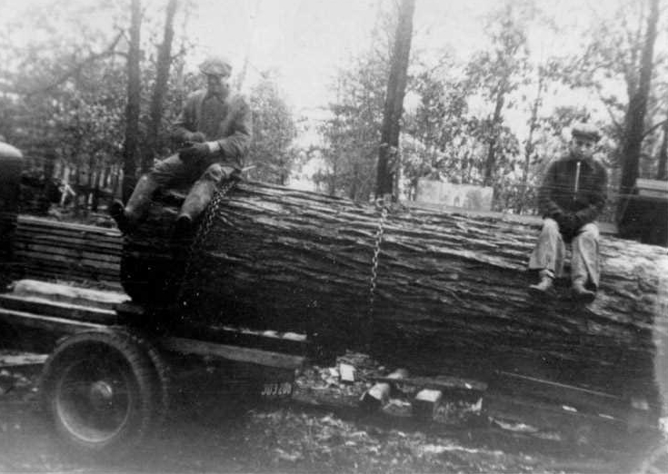 A man and a boy sit on a large log