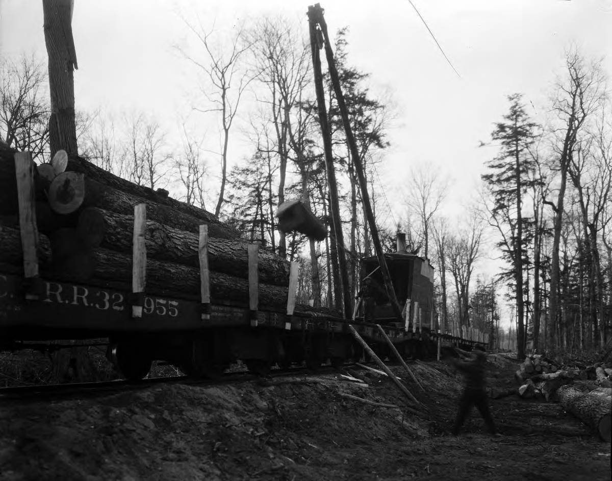 A man throws a log onto a railroad car in the middle of the woods