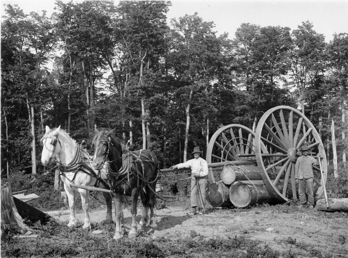 Two men stand next to a Big Wheel carrying three logs and led by two horses